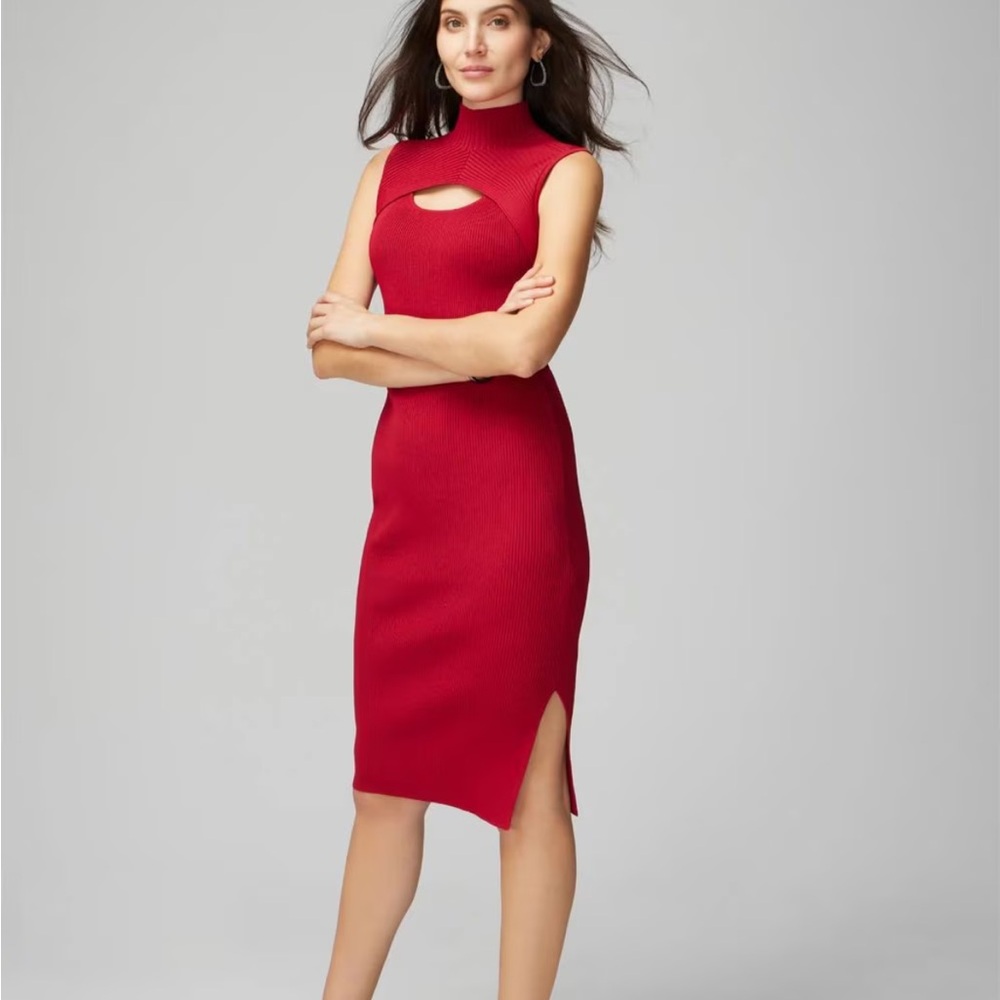 WHBM Forme dress